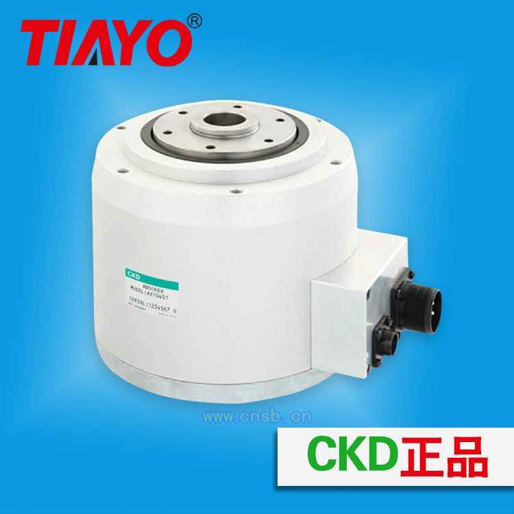 CKD DDR_AX1022TS